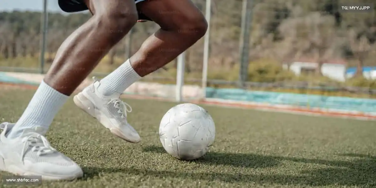 米兰官网🏓从菜鸟到高手,从热爱到执着 —— 你的成长,我们一路见证!